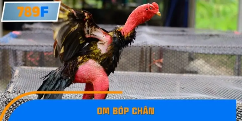 Om bóp chân Om bóp chân