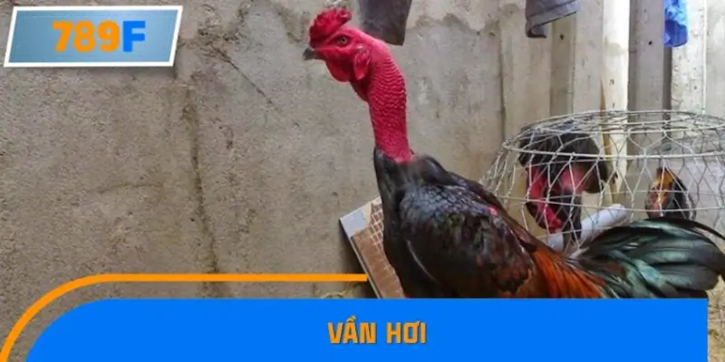 Vần hơi Vần hơi